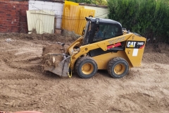 bobcat_04