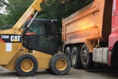 bobcat_05